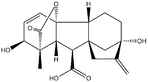 赤霉素GIBBERELLIC ACID，居然有這么神奇？